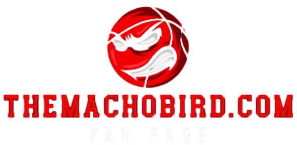 machobird website logo
